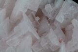Pink Halite Crystal Plate - Trona, California #61069-2
